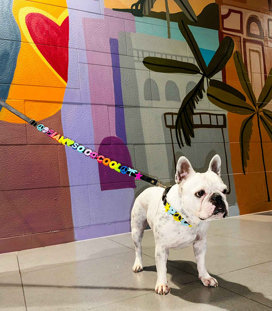 CORREA PARA MASCOTAS DE CHARMS